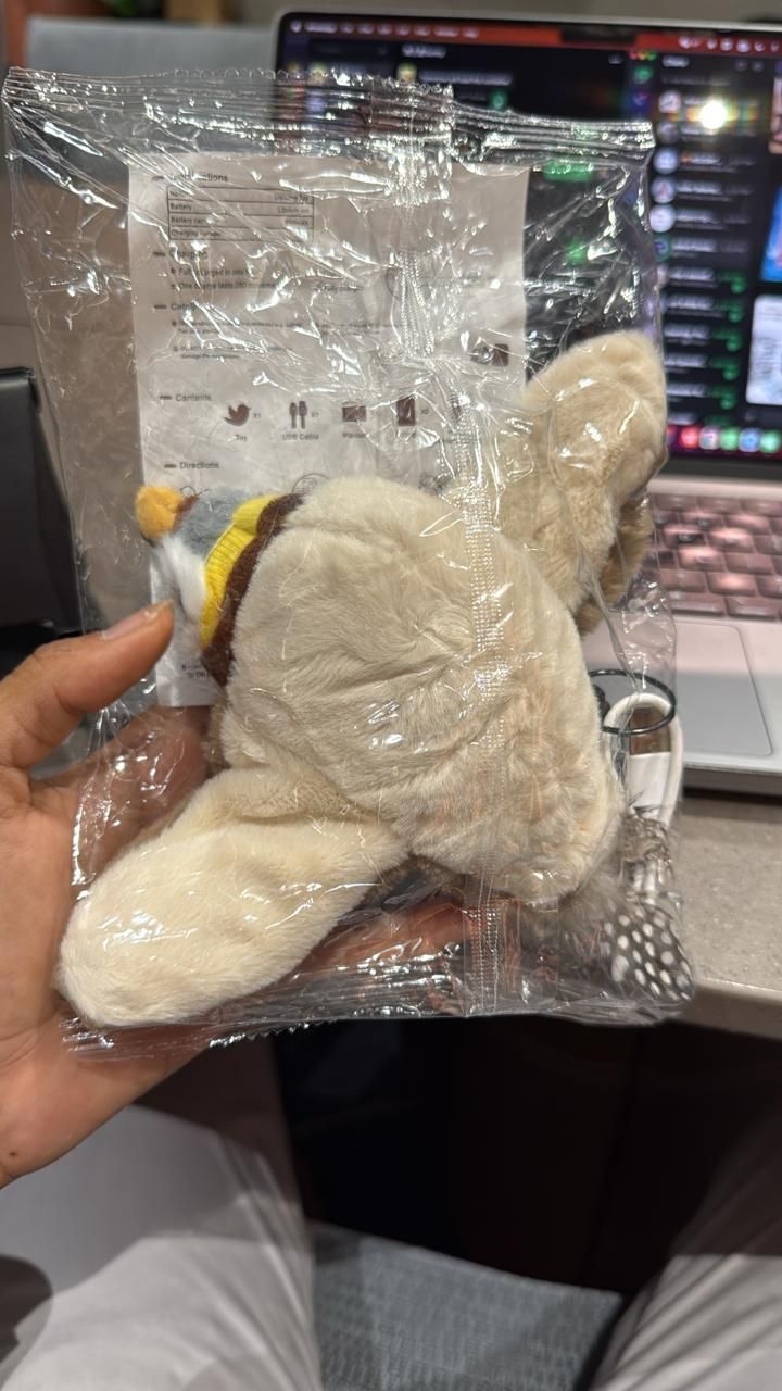 Flapping Cat Toy – Chaos Mode: ON 🐾