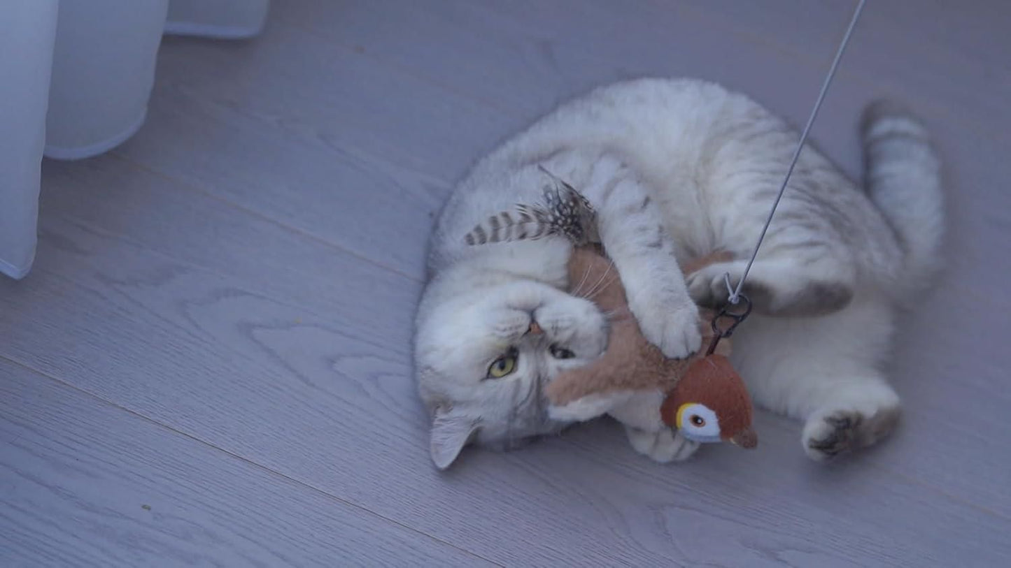 Flapping Cat Toy – Chaos Mode: ON 🐾